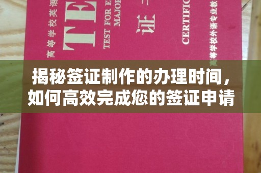 连云揭秘签证制作的办理时间，如何高效完成您的签证申请
